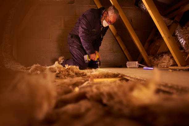Best Commercial Insulation in Shreve, OH