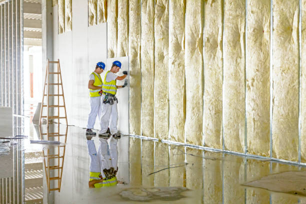 Best Geographic-Specific Insulation Services in Shreve, OH